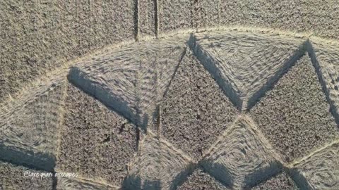 How do they make crop circles... Roundway Downs, Devizes, Wiltshire August 2023