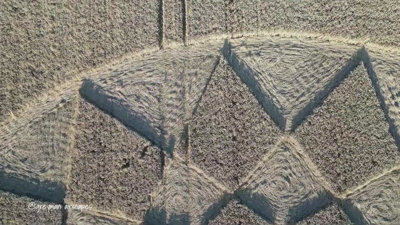 How do they make crop circles... Roundway Downs, Devizes, Wiltshire August 2023