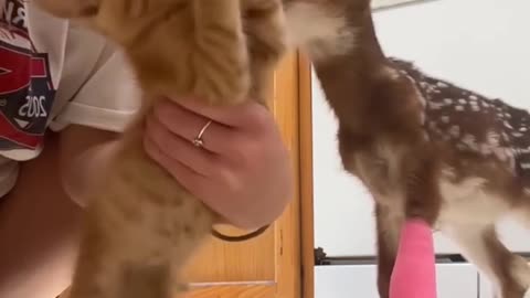 Cute