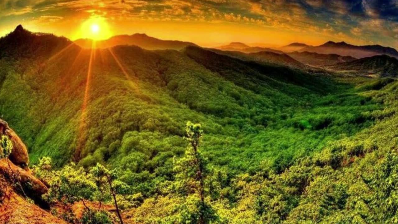 गर्मियों में पपीता खाने के फायदे