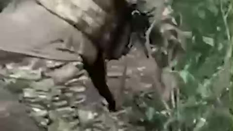 Ukriane war combat footage 7/11 2025