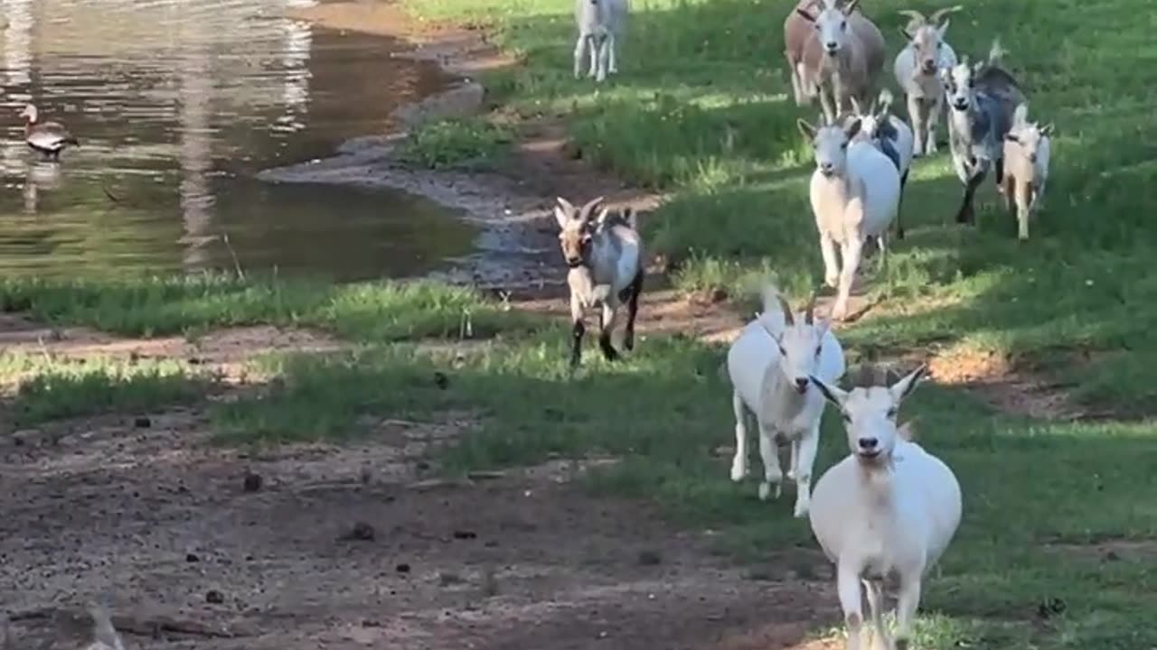 The Calm before the Storm!!!