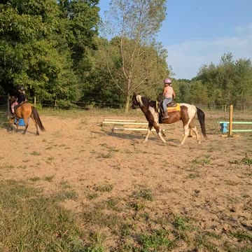 Best friends ride together!