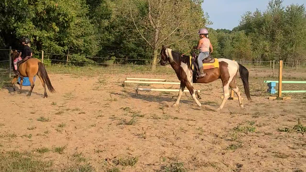 Best friends ride together!