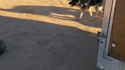 072825 WHO need a Chevy front clip