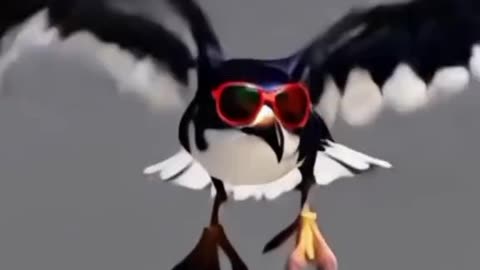 Pájaro con Estilo: ¡El Baile Viral! 😎🐦