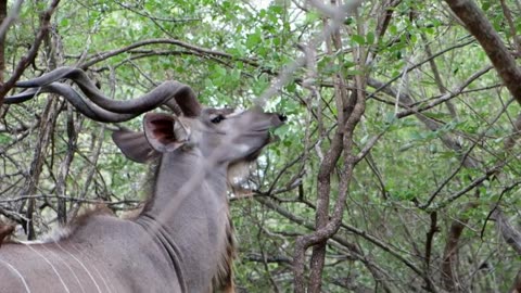 "Everything you need is already inside you."