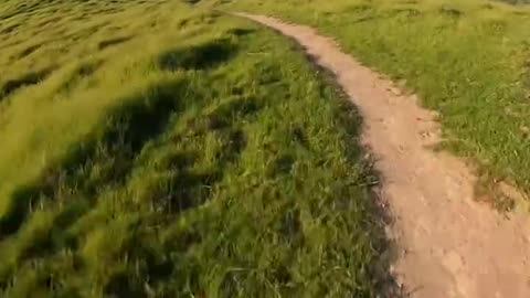 Slalom