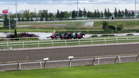 Thoroughbred racing in Toronto 3