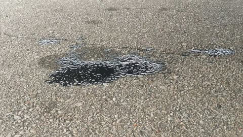 Winnebago OIL LEAK - Jun 16, 2025
