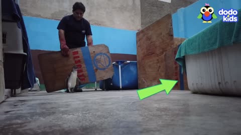 Cute & Funny Animals