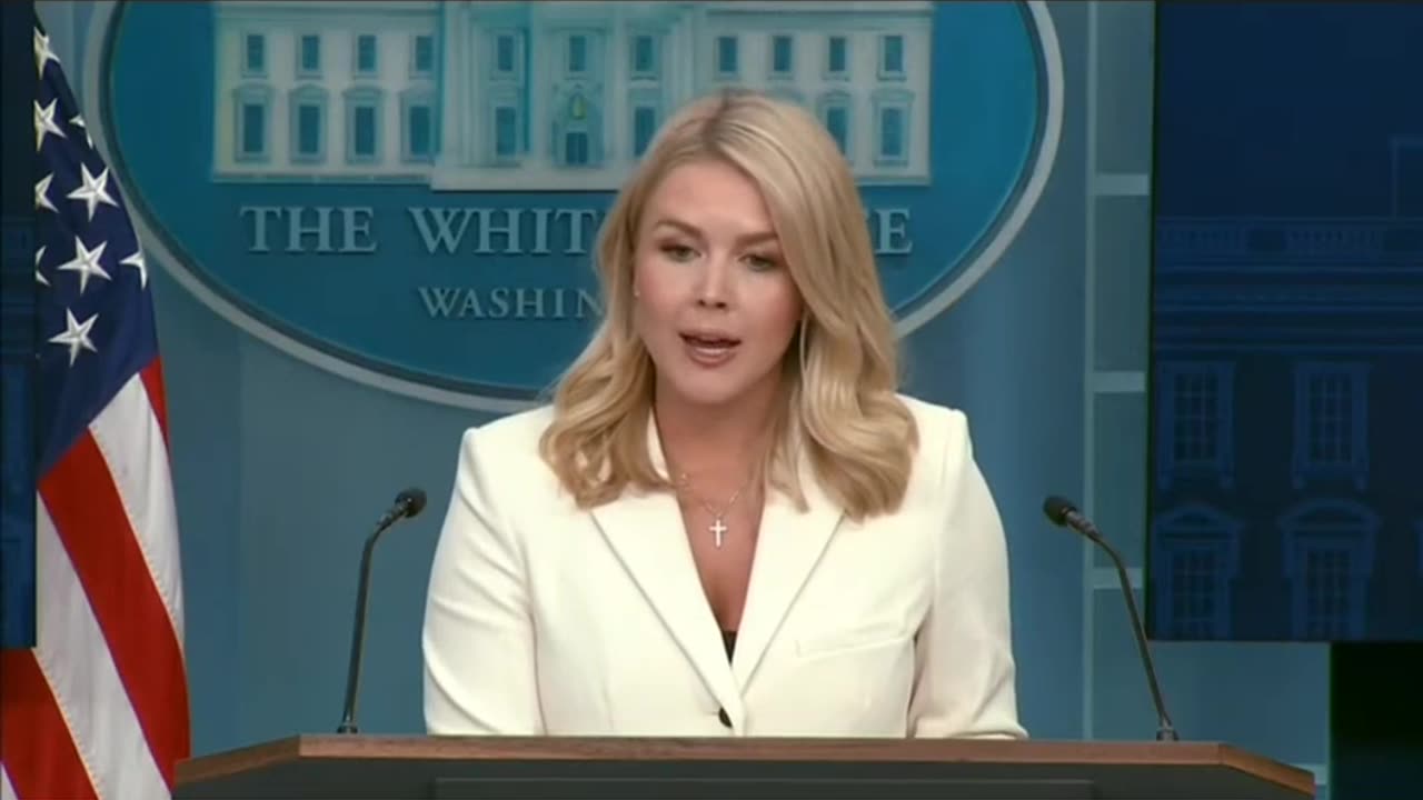 Karoline Leavitt: We're Taken A Whole Of Government Approach