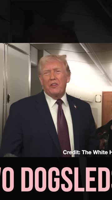 Devastating: Trump Says Greenland's Defense Force Is "Two Dogsleds"