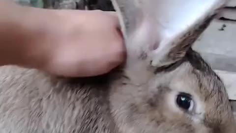 Receiving Messages From 2036