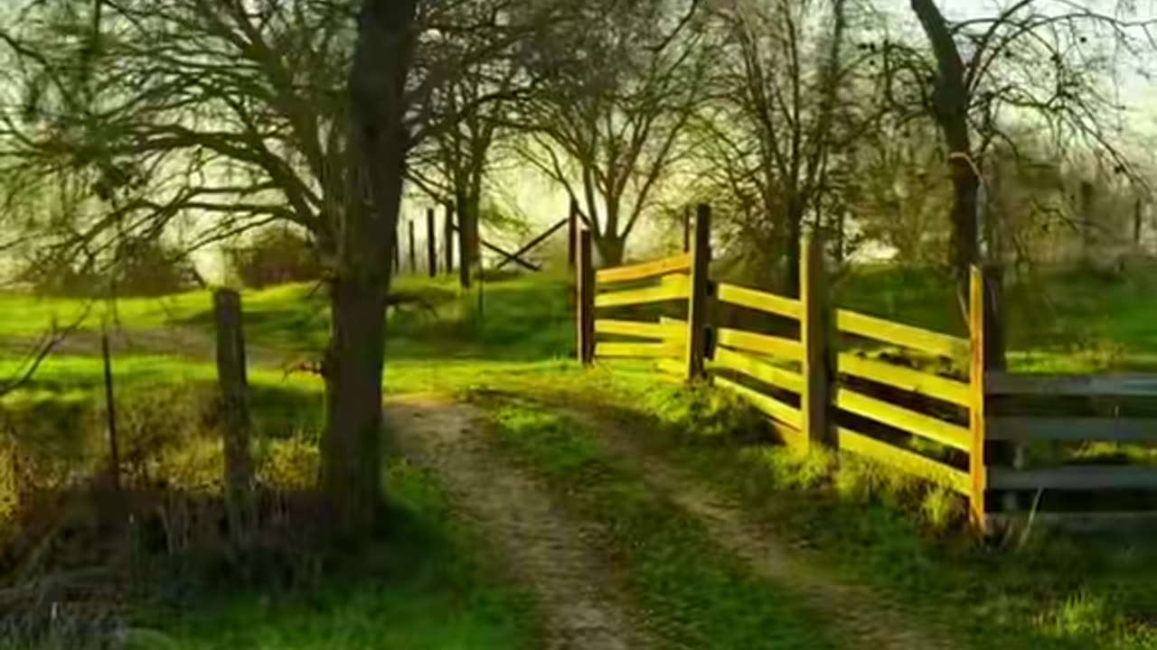 The Nature 🍃🍀