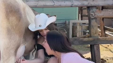 Sexy hot girl dirnk direct cow milk