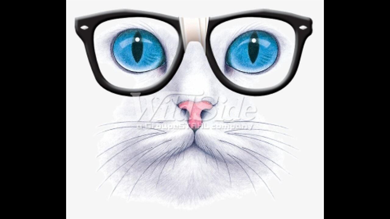 πCat Memes: Funniest Animals 2023π Funny Cats and Dogs | Cat Memes