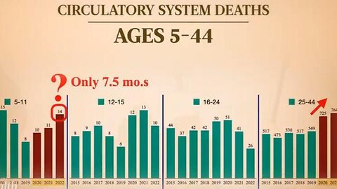 Forget Myocarditis - Circulatory and Blood Clot Deaths are Way Up!