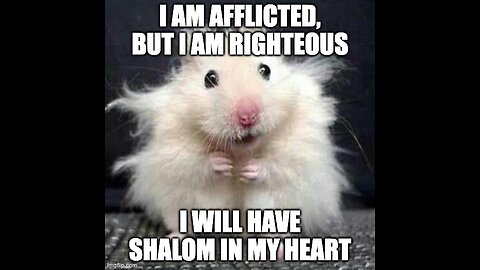 Affliction Comes For A Season