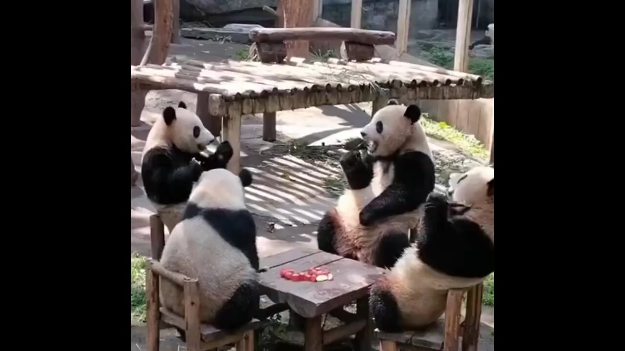 Video upload for 110283707570676893