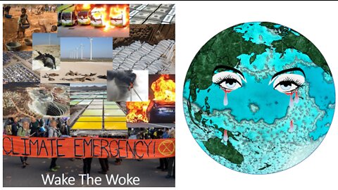 Wake the Woke - Ronald Davison