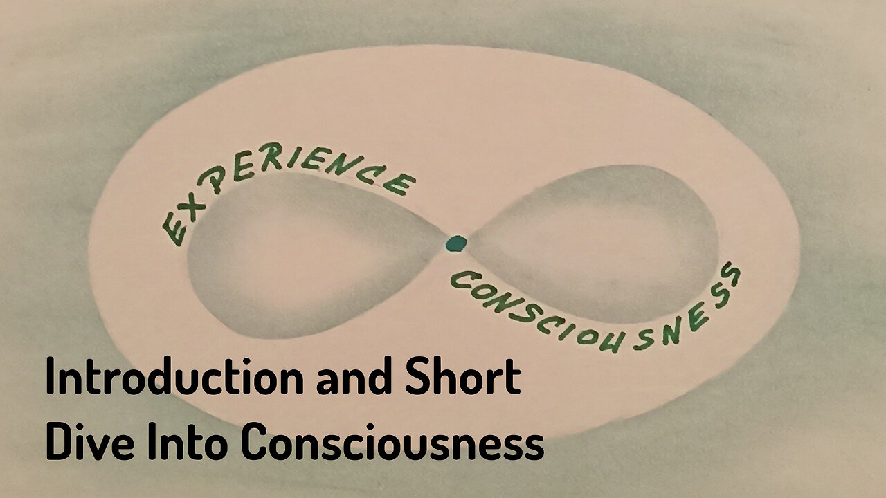 #1 Experience Consciousness Introduction and Dive Into Consciousness