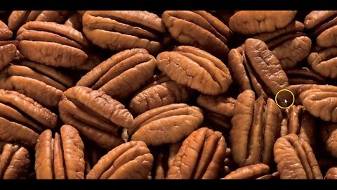 SPOILER ALERT: Wordle of the Day: Happy Pecan Day!