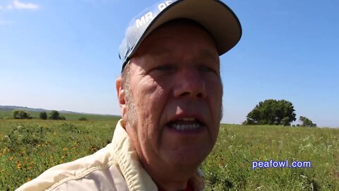 Dinesen Prairie, Kirkman, Ia. Travel USA, Mr. Peacock & Friends, Hidden Treasures