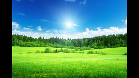 my book last installment