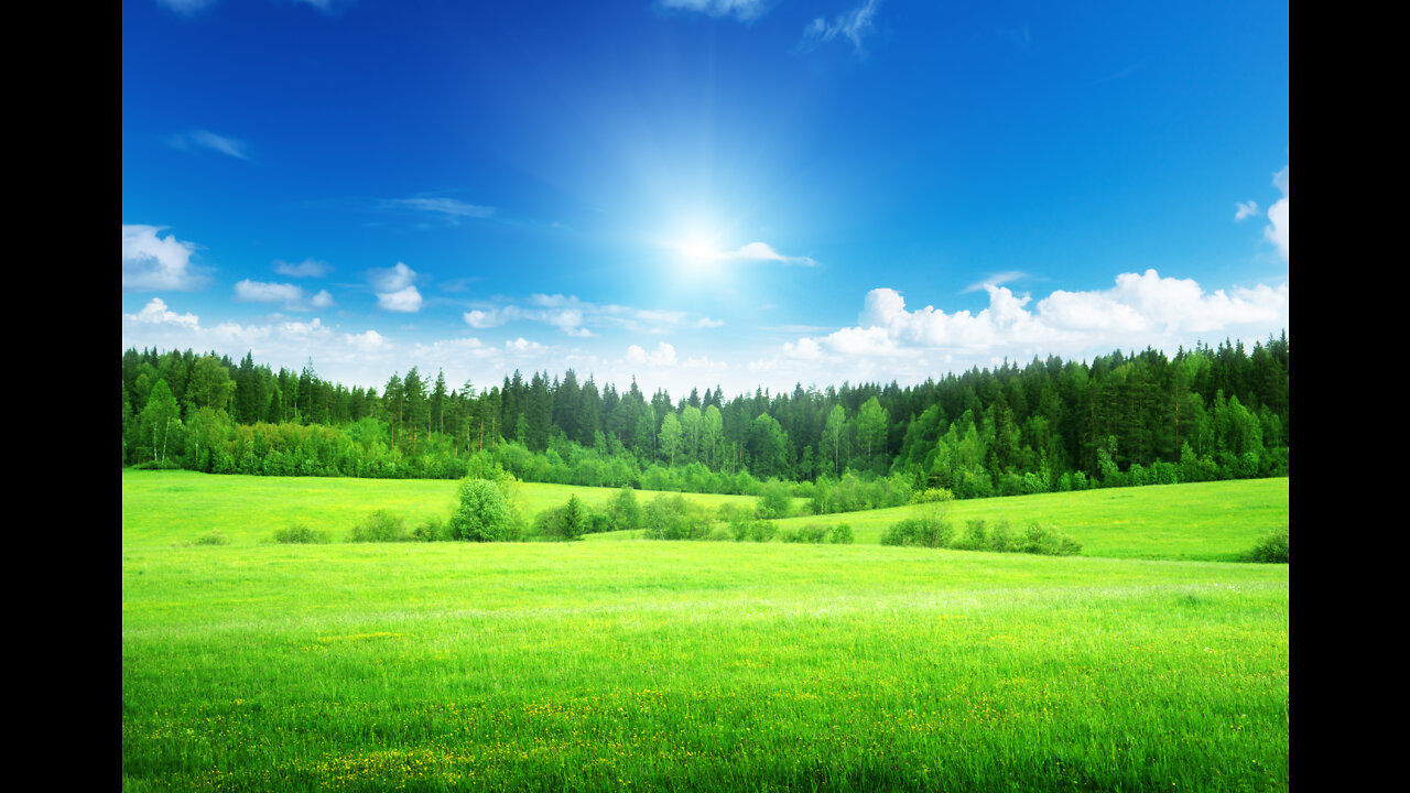 my book last installment