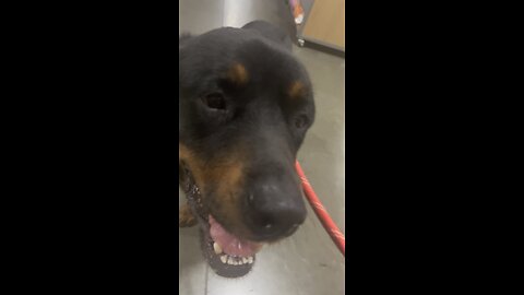 Her face at the end