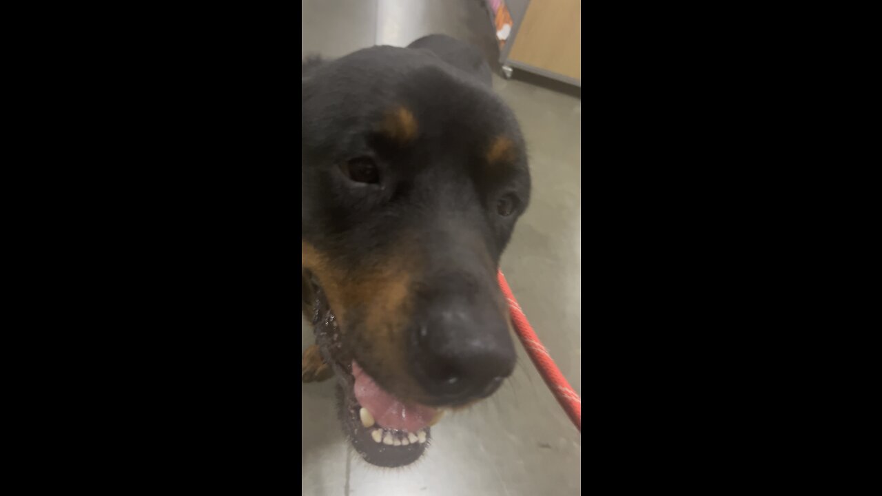Her face at the end
