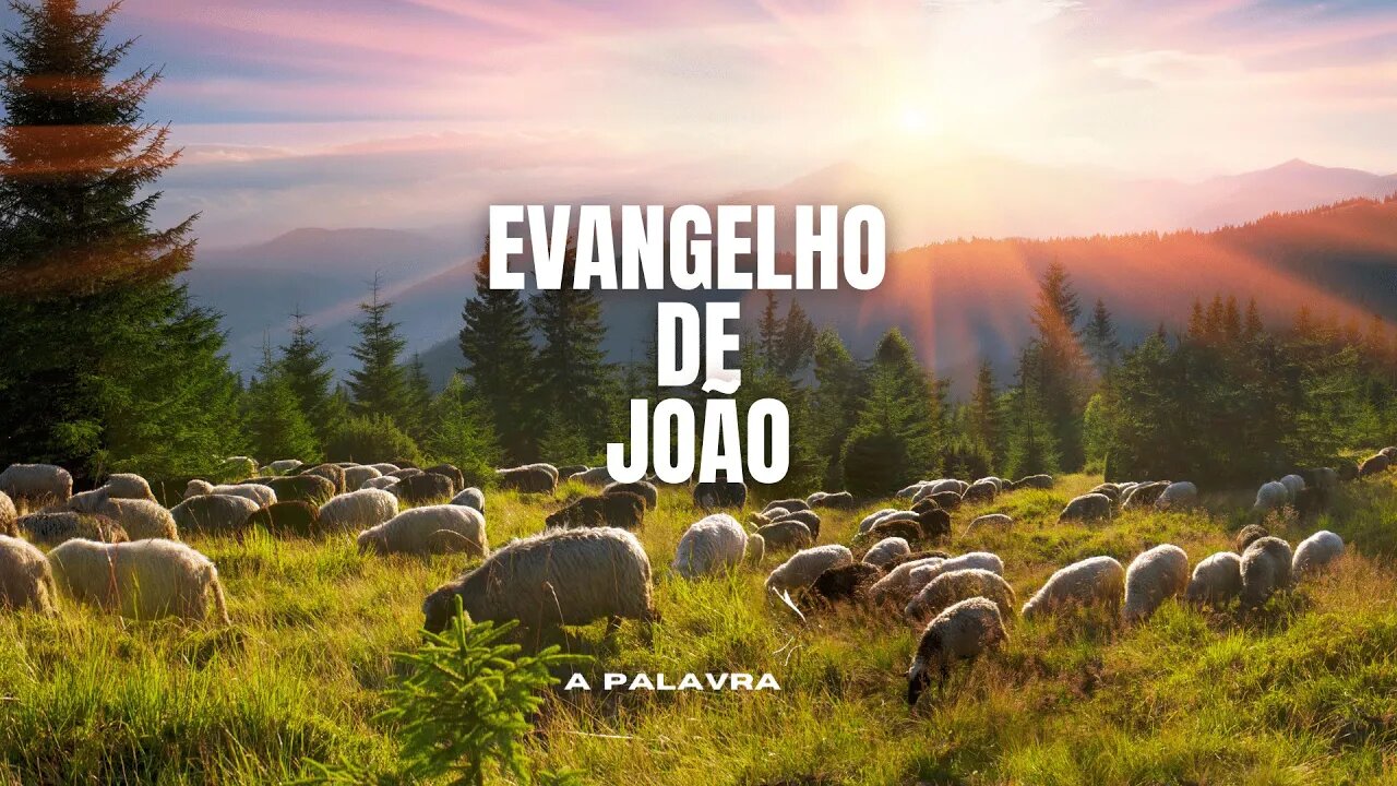 Bíblia Falada - EVANGELHO DE JOÃO Completo [Bíblia A Mensagem] #43