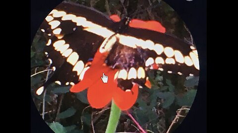 SMART METER BILLS OF EXCHANGE NOTICE OF LIABILITY HOW TO COLLECT