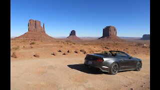 2020 Mustang V8 Exhaust Sound Compilation | Tunnels | Cold Start in Parking Garage | 0-60 | 60-120 |