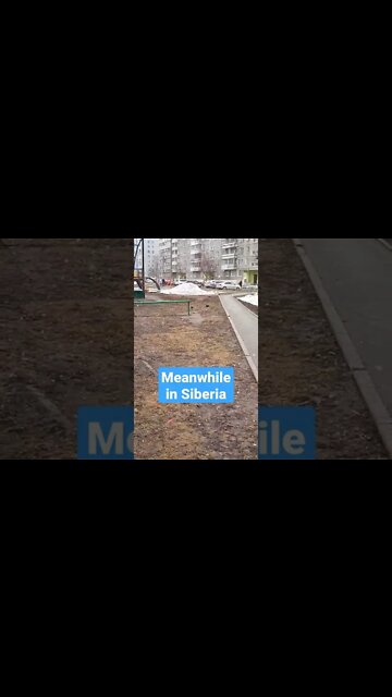 Meanwhile in Siberia