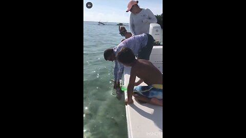 Man gets his pinky taken by a shark