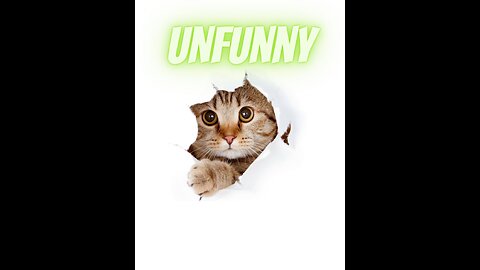 So Cute Cats
