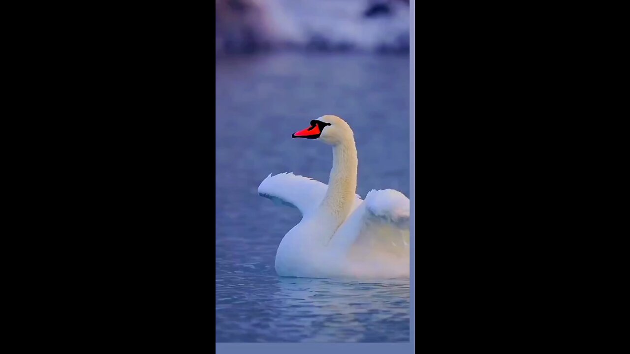 Quran