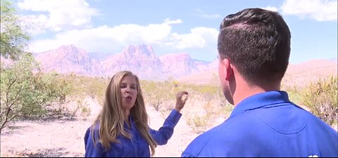 Environmental organizations bringing precipitation to Red Rock Canyon