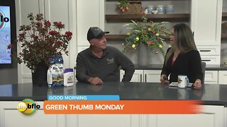 Green thumb Monday - Planting bushes, trees and shrubs