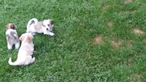 "G" Litter Outside Play Time