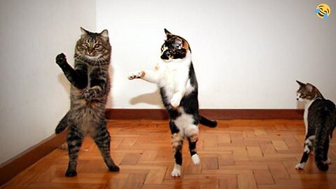 FUNNY CATS and 🐕DOGS😺😹 New Funniest and cute Animals video 2023