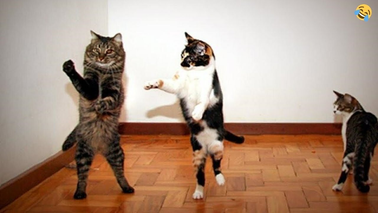 FUNNY CATS and 🐕DOGS😺😹 New Funniest and cute Animals video 2023