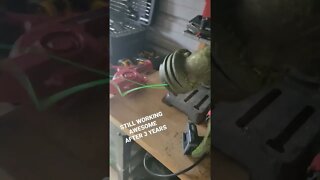 String Trimmer goes tick, tick, tick #shorts