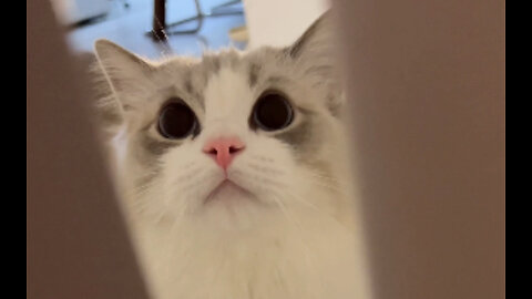 Do you want to let him in ??