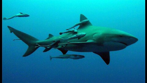 Kent Hovind - CSE 104 Disc 03