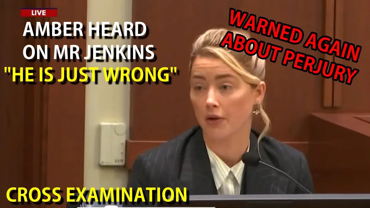 Amber Heard - Everyone Else is Lying or Wrong - Mr Jenkins - "He is Just Wrong"