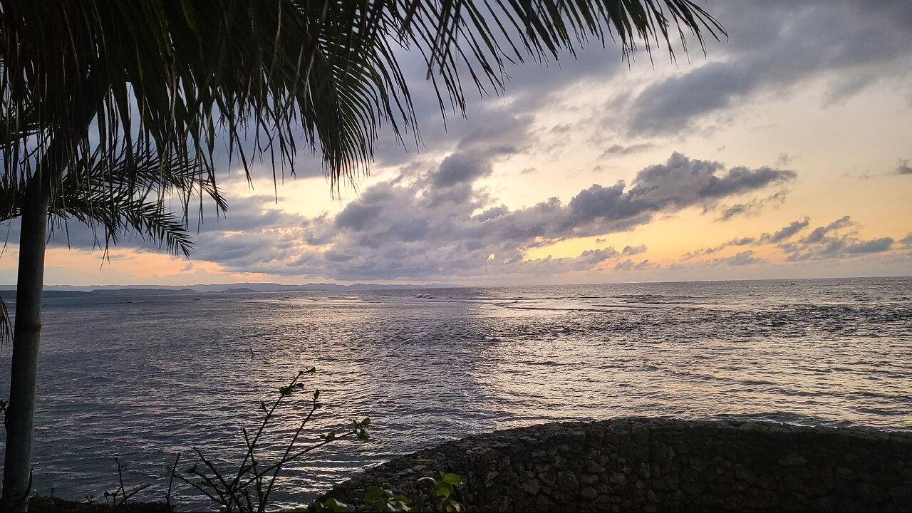 Dominican Stream Test 02