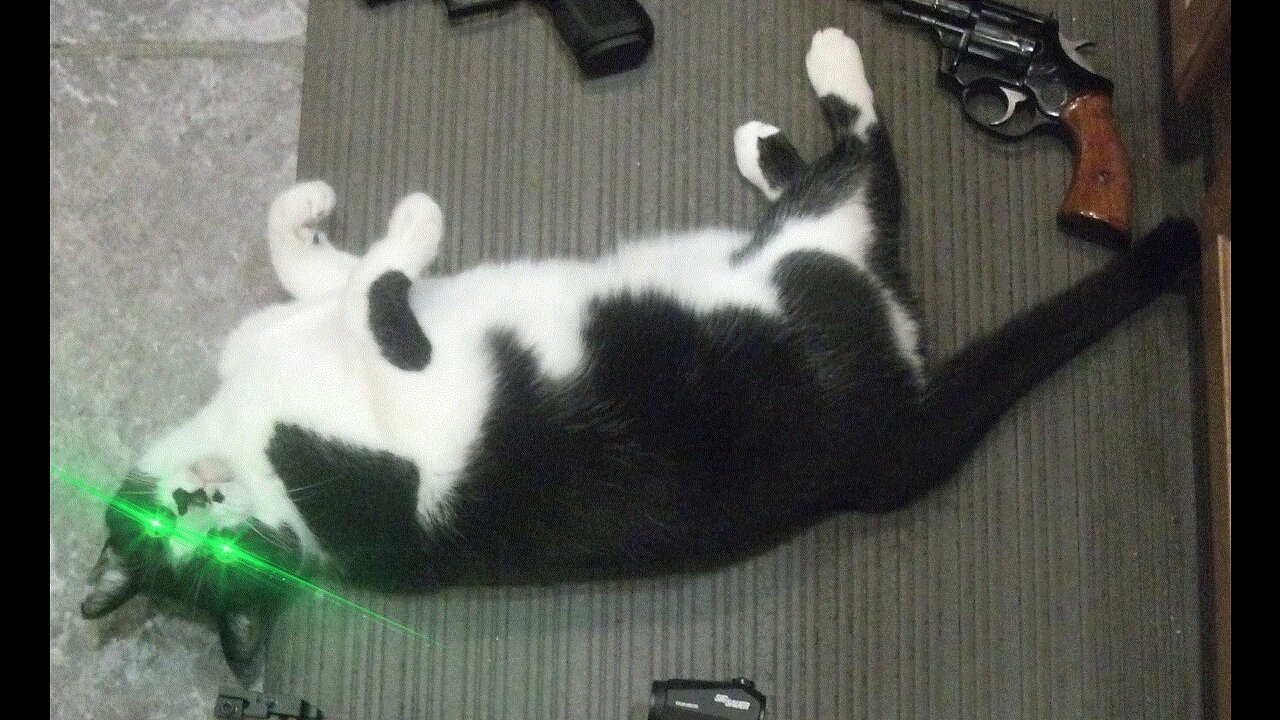 Friday Post Salt Stream 1045PM EST